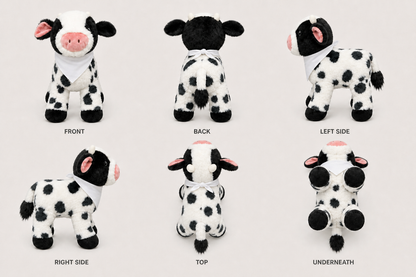 Casandra the Cow shown from six views