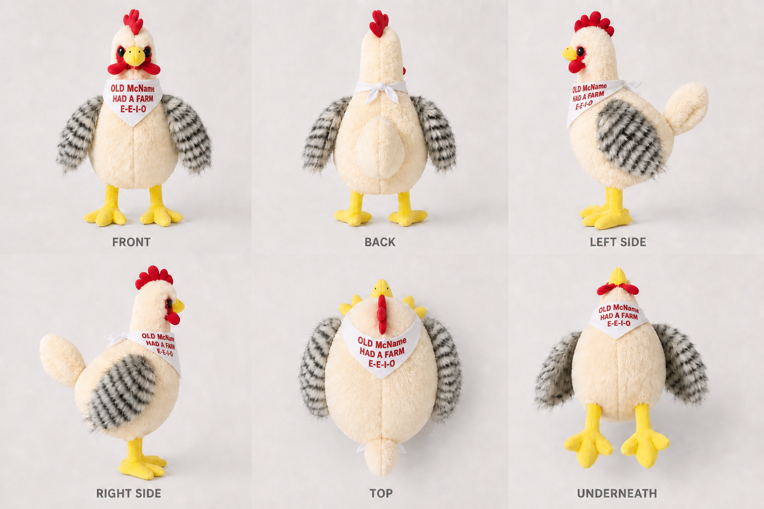 Henrietta the Chicken shown from six views