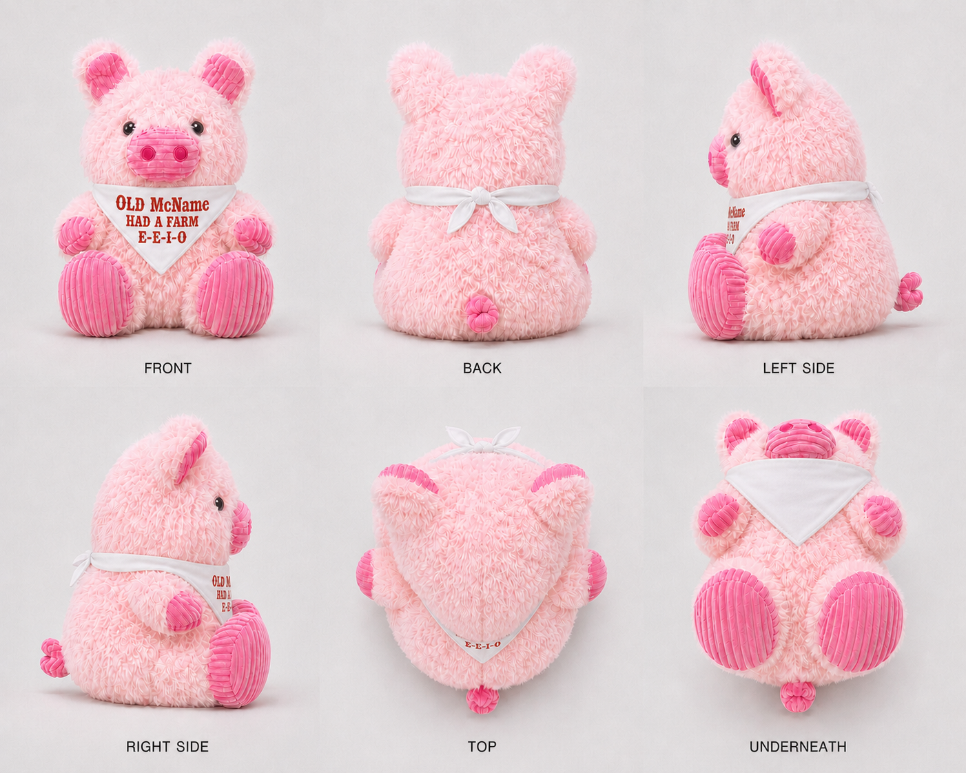 Penelope the Pig shown from six views